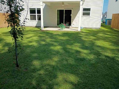 Lawn Care service in Hilton Head Island, 29926