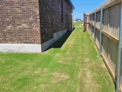 Lawn Care service in Temple, 76501