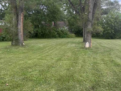 Lawn Care service in Trenton, 48183