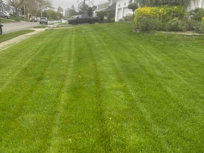 Lawn Care service in East Hampton, 11937
