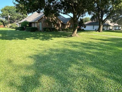 Lawn Care service in Sunnyvale, 75182