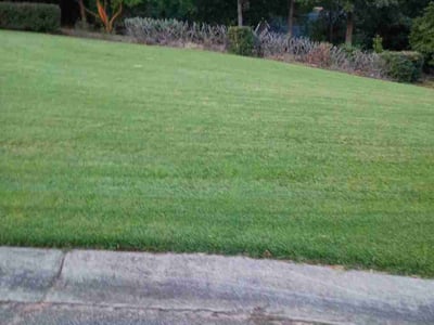 Lawn Care service in Okatie, 29909