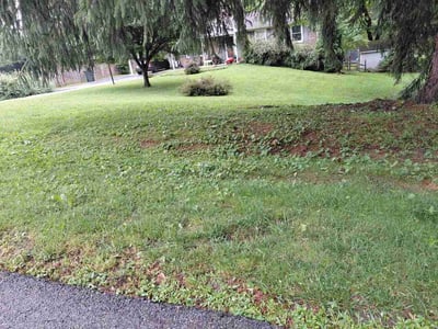 Lawn Care service in Mount Airy, 21771