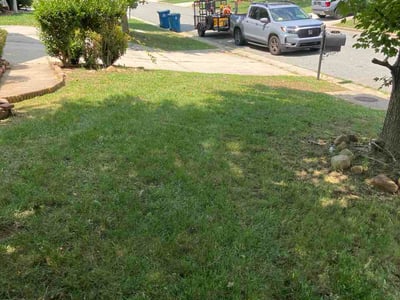 Lawn Care service in Asheboro, 27203