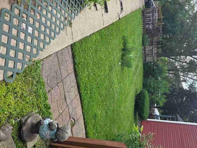 Lawn Care service in Hammond, 46324