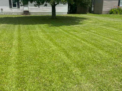 Lawn Care service in Lake Charles, 70601
