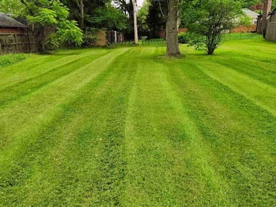 Lawn Care service in ,
