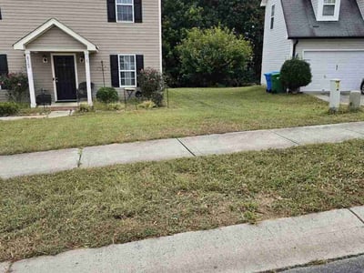 Lawn Care service in Stamford, 06901