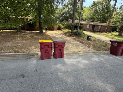 Leaf Removal service in Denham Springs, 70726