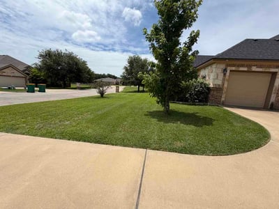Lawn Care service in Belton, 76513