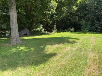 Lawn Care service in Ellington, 06029