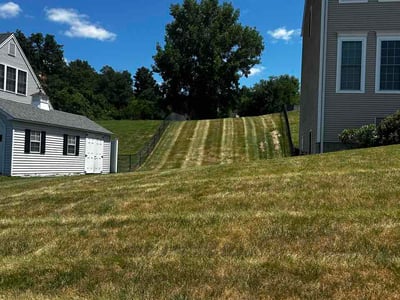 Lawn Care service in Ellington, 06029