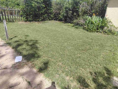 Lawn Care service in Bryan, 77803