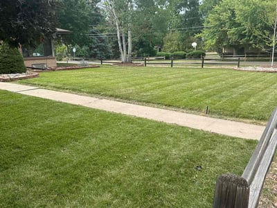 Lawn Care service in ,