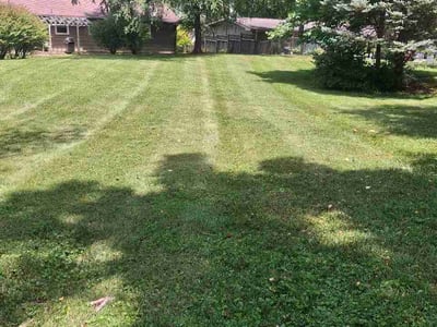 Lawn Care service in Elizabethton, 37643