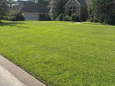 Lawn Care service in Orange, 77630