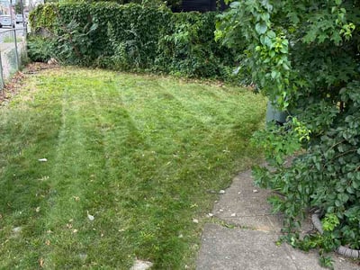 Lawn Care service in Fairfield County, 06883