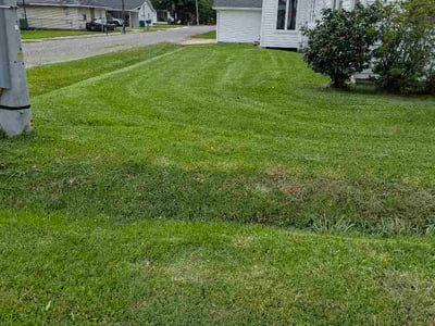 Lawn Care service in Houma, 70360