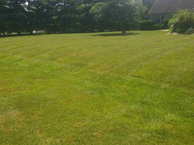 Lawn Care service in Geneva, 60134