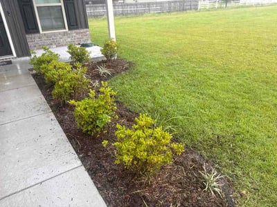 Lawn Care service in Houma, 70360