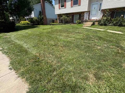 Lawn Care service in Westminster, 21157