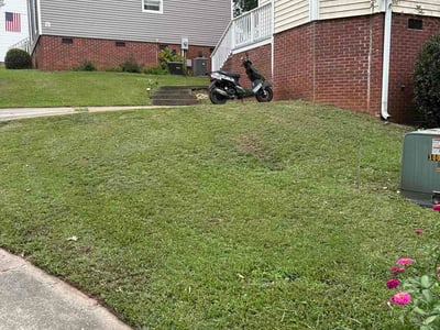 Lawn Care service in Camden, 29020