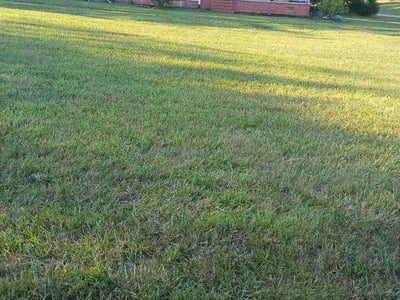 Lawn Care service in Morganton, 28655