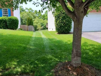 Lawn Care service in Ellicott City, 21043
