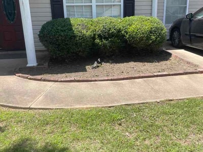 Lawn Care service in Auburn, 01501