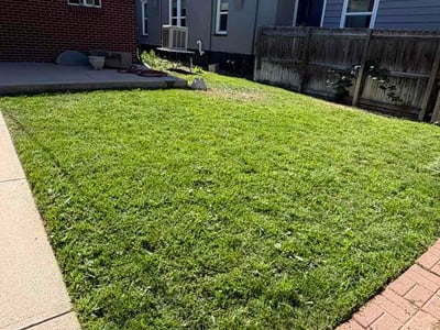 Lawn Care service in Lafayette, 80026