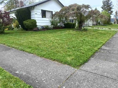 Lawn Care service in Poulsbo, 98370