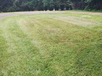 Lawn Care service in Frederick, 21701