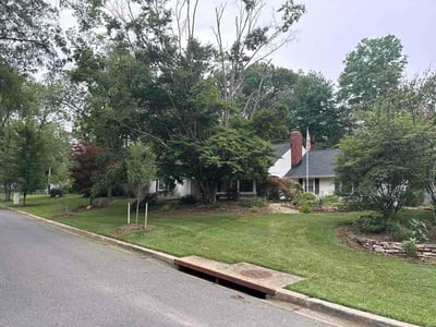 Lawn Care service in Laurel, 20707