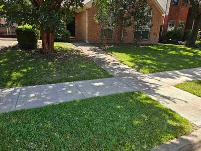 Lawn Care service in Plano, 75074