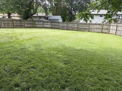 Lawn Care service in Louisville, 80027