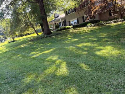Lawn Care service in Havre De Grace, 21078