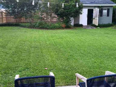 Lawn Care service in Florence, 29506