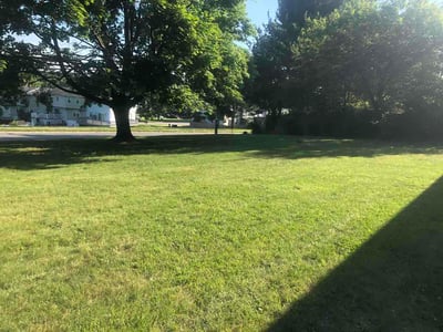Lawn Care service in Edgewood, 21040