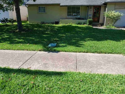 Lawn Care service in Farmers Branch, 75234