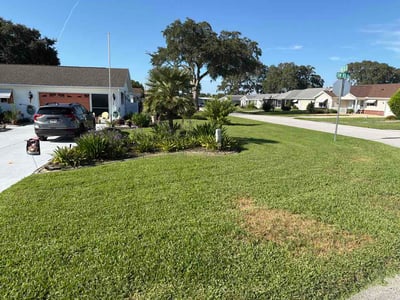 Lawn Care service in Ocala, 34480
