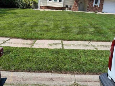 Lawn Care service in Shelton, 06484