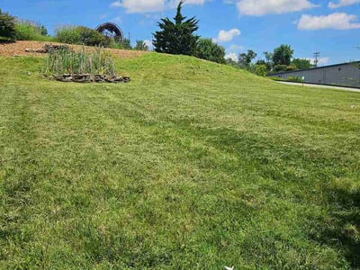 Lawn Care service in Longmont, 80501