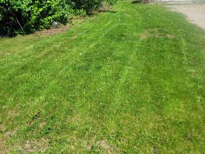 Lawn Care service in Marion, 52302