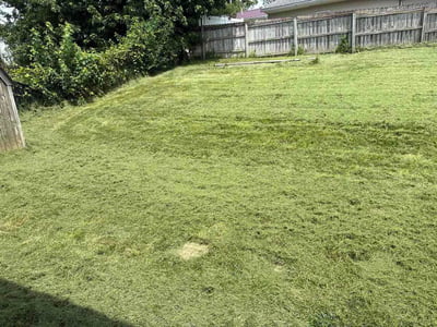 Lawn Care service in Marion, 52302