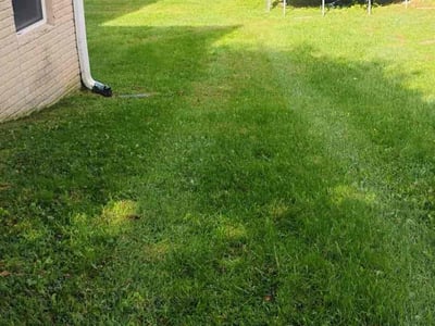 Lawn Care service in Randallstown, 21133