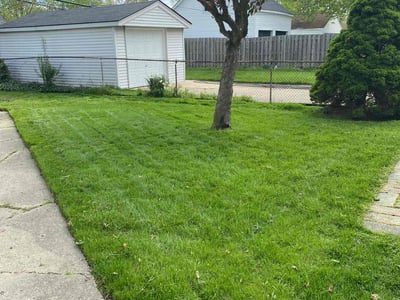 Lawn Care service in Wayne, 48184