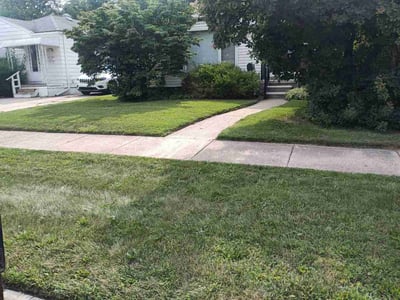 Lawn Care service in Southgate, 48195