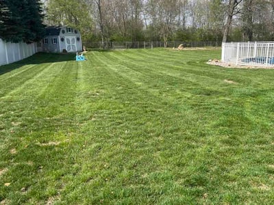 Lawn Care service in Wyoming, 49509