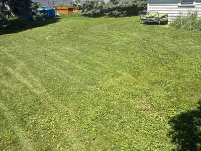 Lawn Care service in Kaukauna, 54130