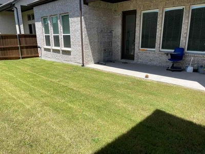 Lawn Care service in Alvarado, 76009